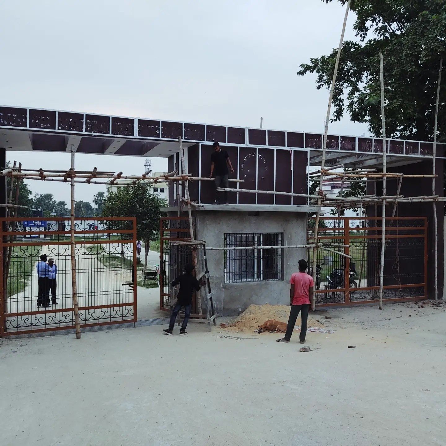 ACP Cladding visual example 6